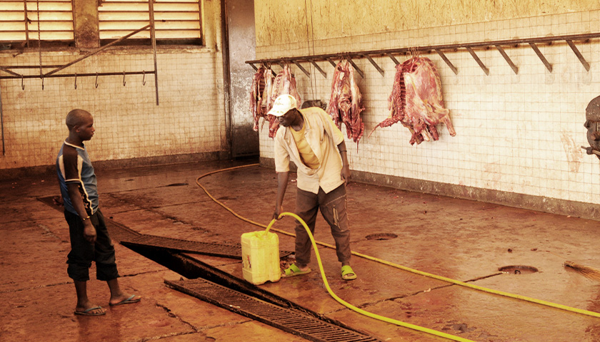 Company Accused of Employing Minors to Clean ‘Kill Floors’ at Minnesota Slaughterhouses