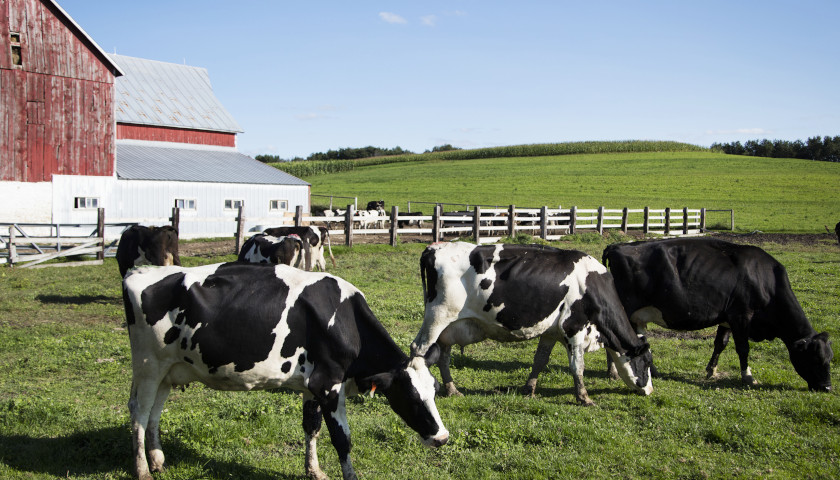 Wisconsin Dairy, Farm Groups Unhappy with Proposed FDA ‘Milk’ Guidance