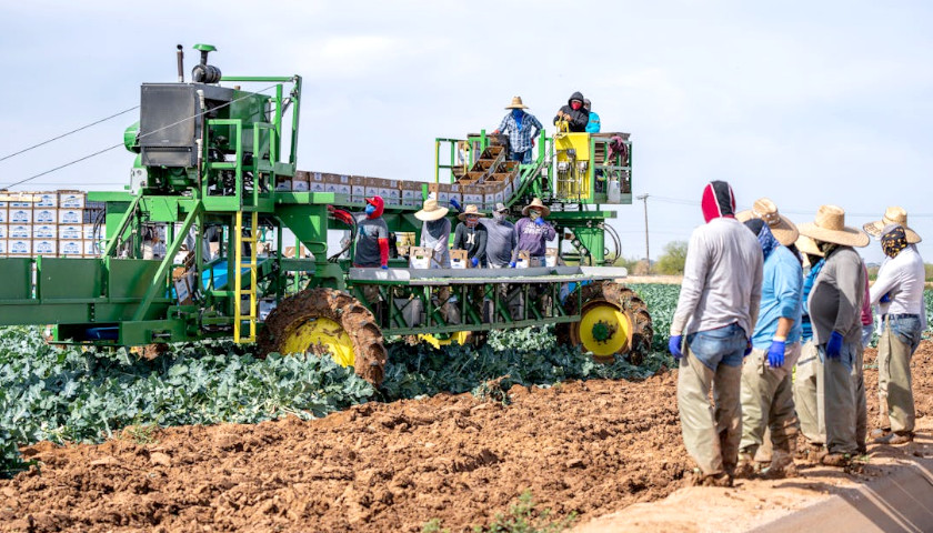 Farm Workers