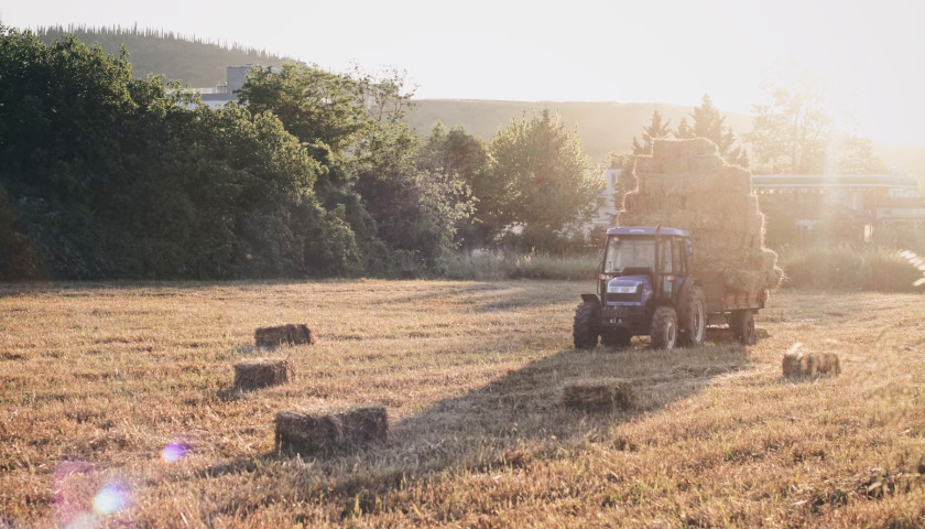 Report Finds Farmers Growing More Concerned About Economy