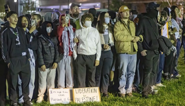 Pro-Palestine Protesters