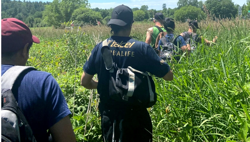 People crossing the U.S. Northern border