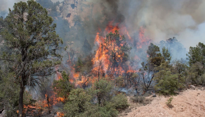 Arizona Wildfire