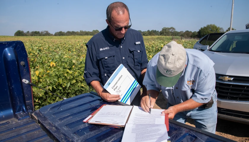 Tennessee Agriculture