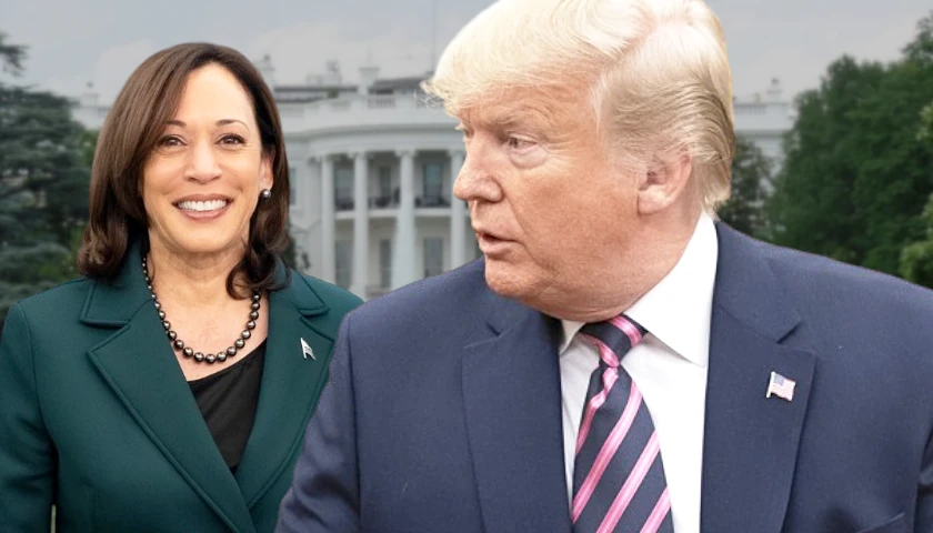 Trump Leads Harris by One Percentage Point in Latest Poll