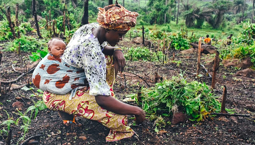 Family Farm in Africa