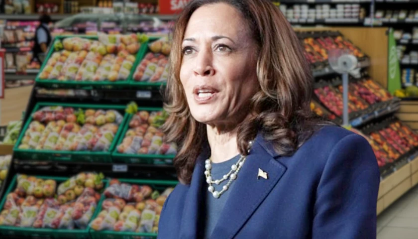 Critics Blast Harris’ New ‘Price Control’ Plan