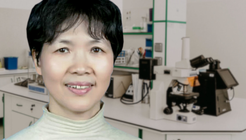 Wuhan ‘Bat Lady’ Denies U.S. Intelligence That Her Lab Secretly Works with Chinese Military
