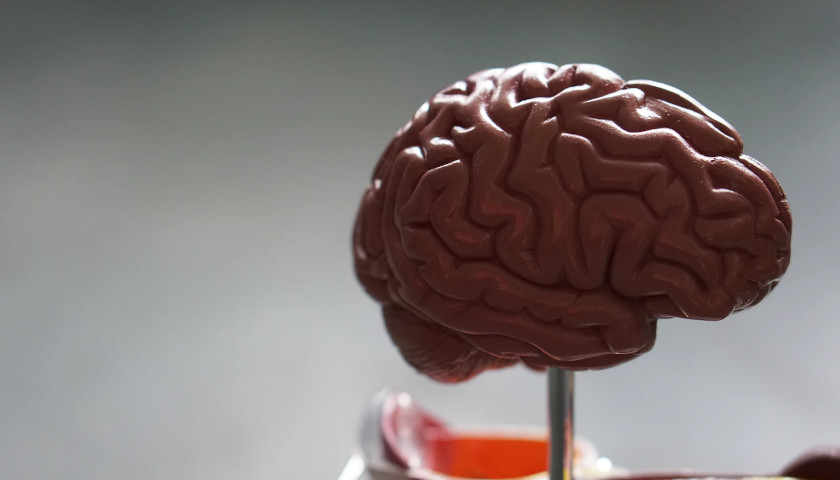 ‘Neutrobots’ Breach the Blood-Brain Barrier to Treat Brain Cancer in Mice
