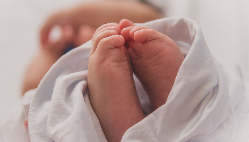 Demographers Warn of ‘Epochal Fall in Fertility’ Across the Globe