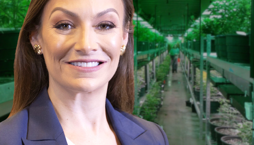 Nikki Fried Denies Cannabis Conflict of Interest