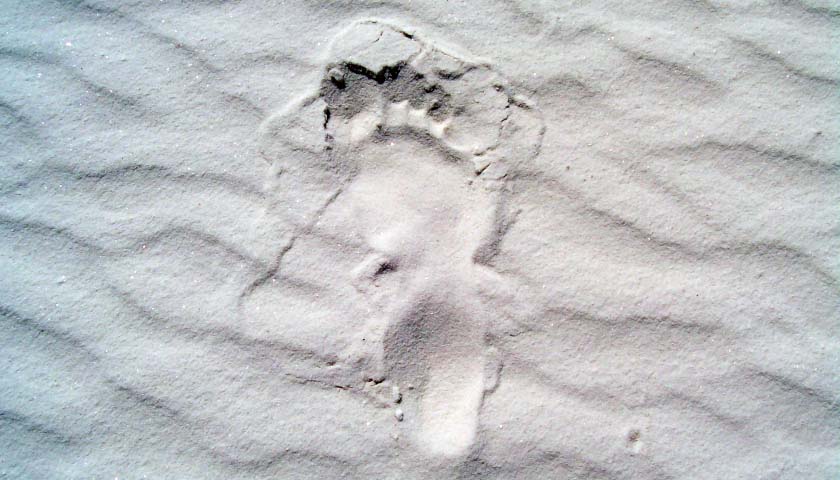 Fossilized Footprints Found in New Mexico Believed to Be 23,000 Years Old