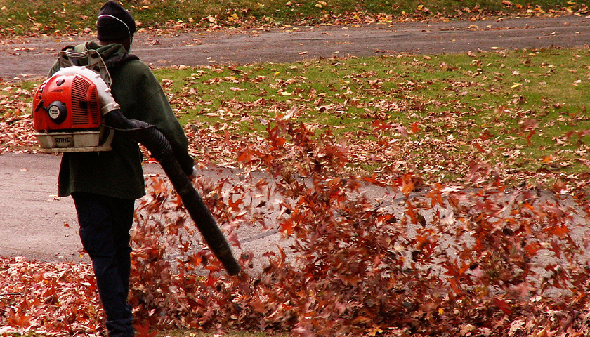 California to Ban Gas-Powered Leaf Blowers, Lawn Mowers