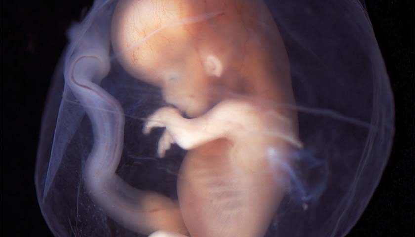 Tennessee Lawmaker Files Bill to Protect Unborn Children from Drug Exposure