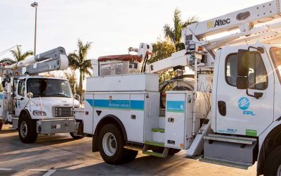 Florida Power and Light Rate Increase Appealed by ‘Floridians Against Increasing Rates’