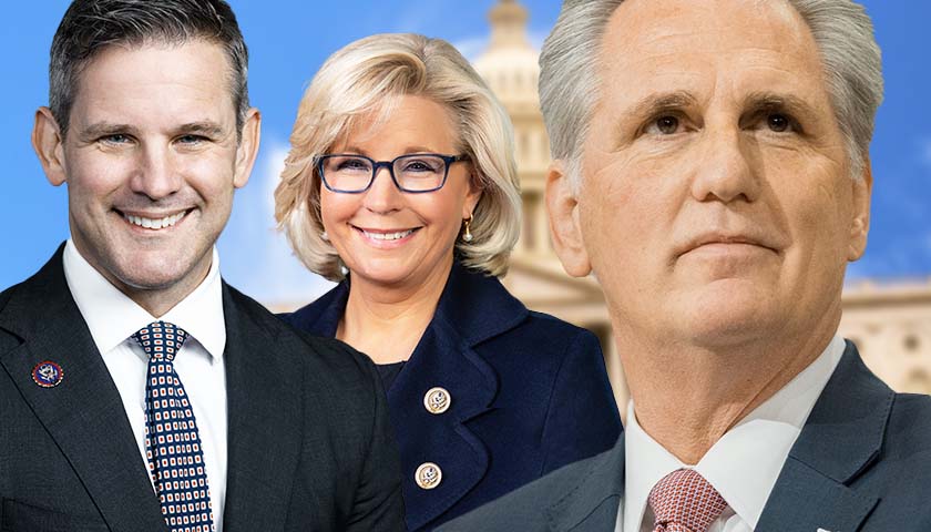 Tea Party Patriots Action Calls on McCarthy to Strip Cheney, Kinzinger of Conference Memberships