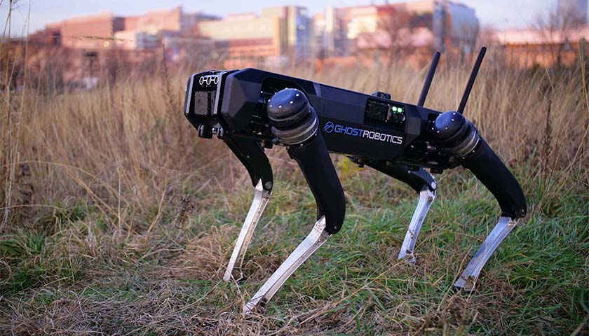 Border Patrol Testing Robot Dogs to Police Southern Border