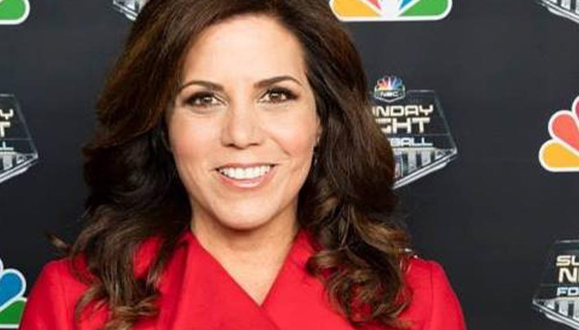 NFL Sideline Reporter Quits to Chair Minnesota Gubernatorial Campaign