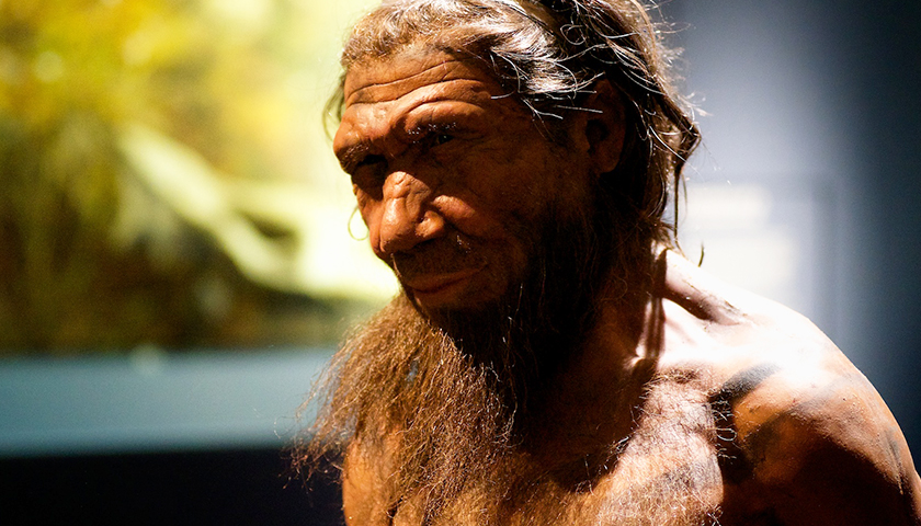 Commentary: Humans Lived in Europe Earlier Than Thought, in Neanderthal Territories