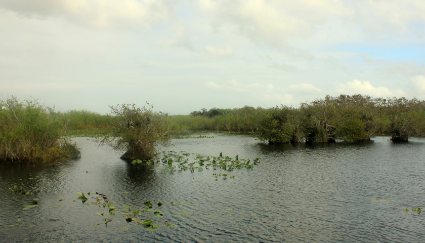 Biden Seeking More Everglades Conservation Money