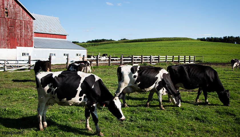 Wisconsin Dairy Farmers Worry About SEC Climate Change Reporting Plan