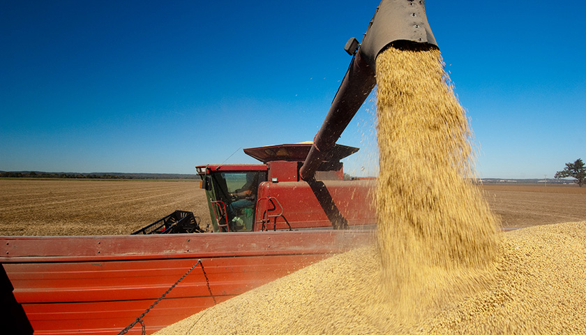 Russia, Ukraine Reach Grain Export Deal as Food Crisis Worsens