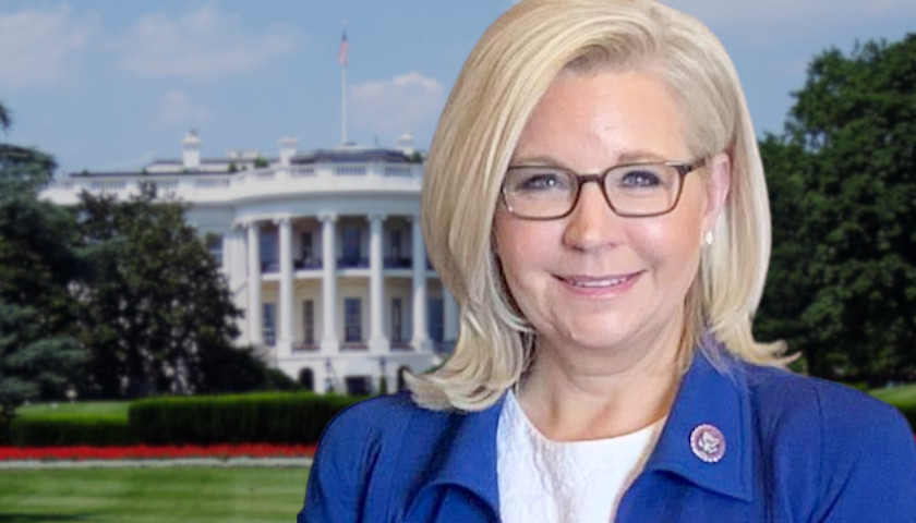 After Losing Primary, Liz Cheney Hints at Presidential Run