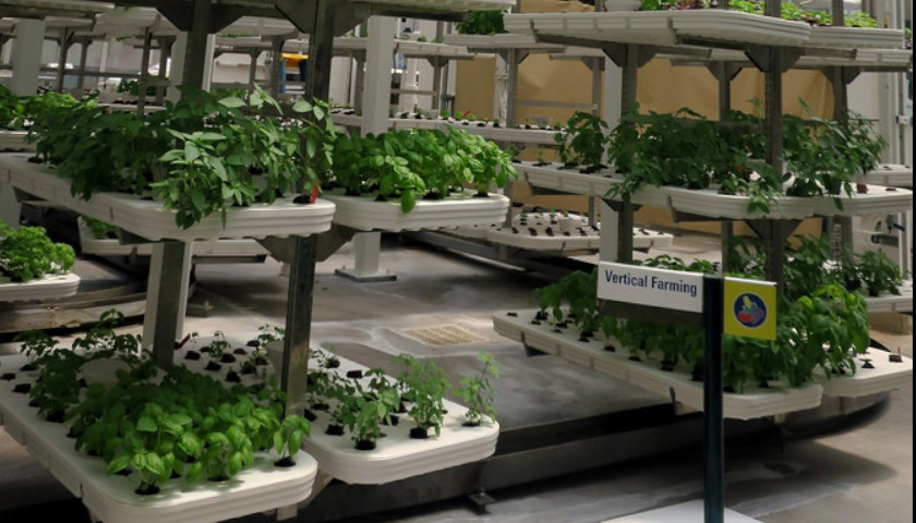 Indoor Vertical Farm Company to Build Campus in Chesterfield