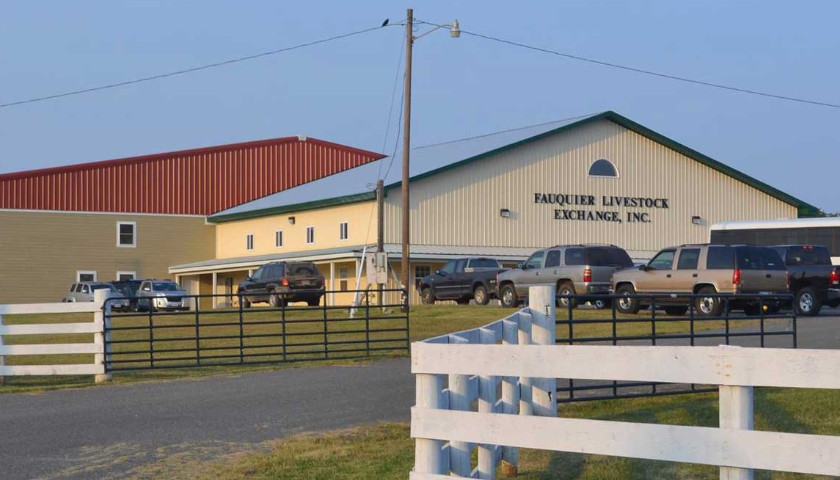 Youngkin Approves Grant to Study Meat Processing Facility at Fauquier Livestock Exchange