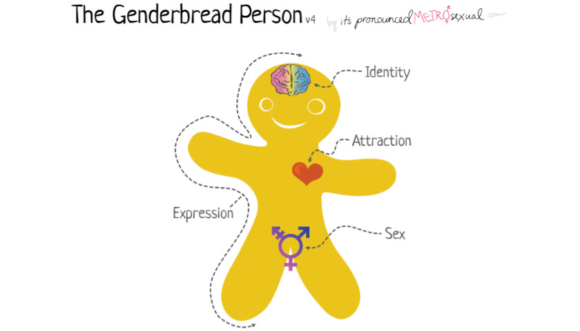 Rhode Island School District’s Sex Ed Curriculum Features ‘Genderbread Person’ to Teach Kids About Being Trans