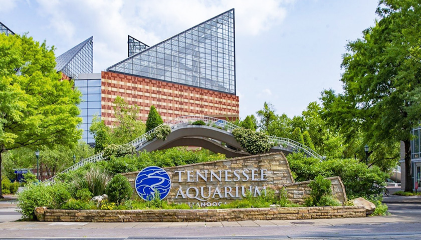 Lawsuit Claims Tennessee Aquarium Hiring Practices Discriminated Against White Applicants