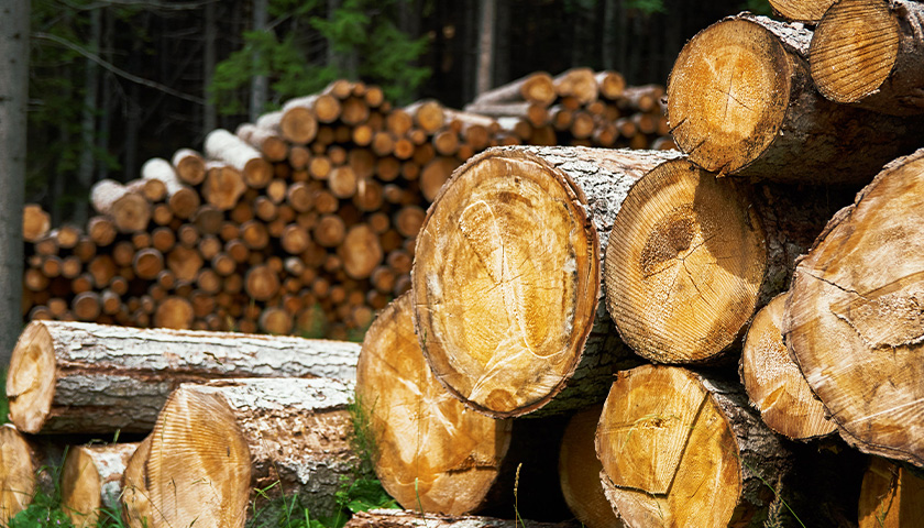 Lumber Company Expanding in Southwest Virginia