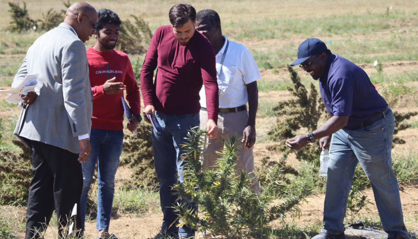 Tennessee State University College of Agriculture to Begin Offering Master of Science Degree Program This Upcoming Fall Semester