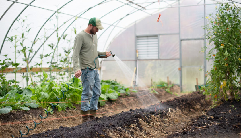 Virginia Farmers May Receive USDA ‘Climate-Smart Agriculture’ Funds up for Grabs
