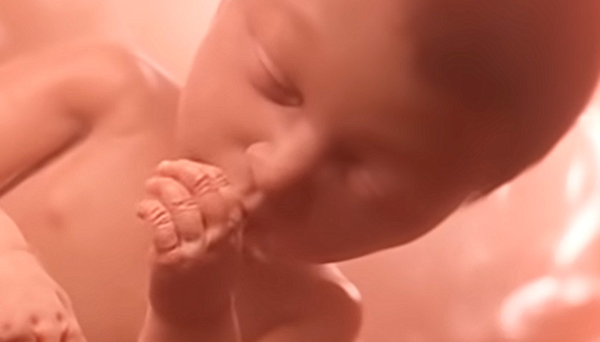 Tennessee Bill Would Add Fetal Development Video to Public School Curriculum
