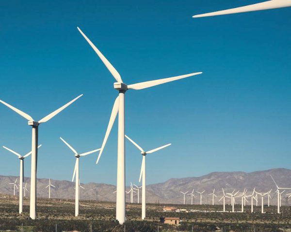 Wind Energy Industry Produced Less Power in 2023, Despite Having Increased Total Generation Capacity