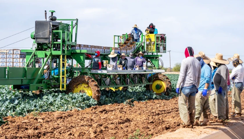 Farm Workers