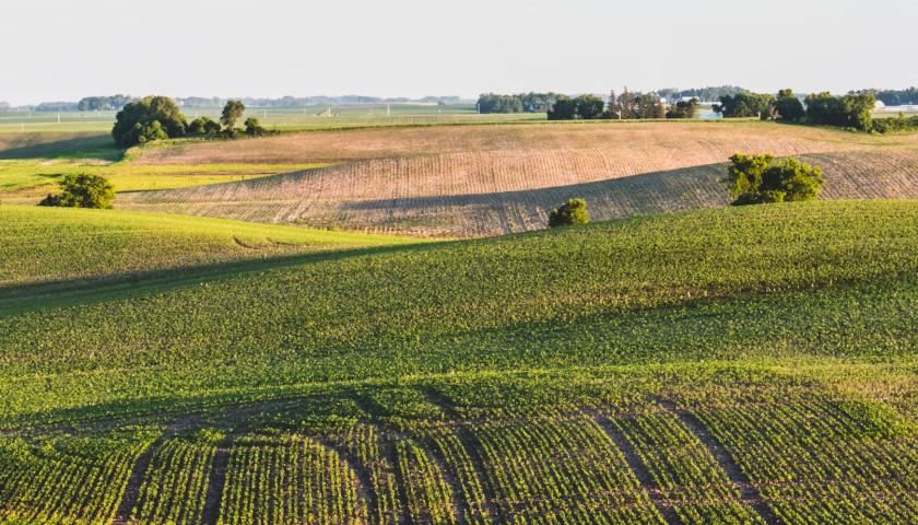 Lawmakers Move to Block Chinese Purchases of US Farmland Over Security Concerns