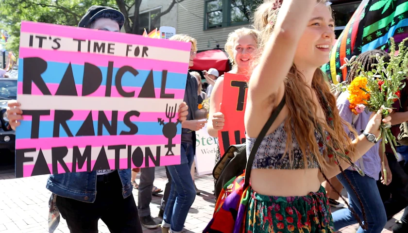 Trans activists
