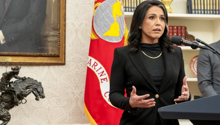 Tulsi Gabbard Resigns as Director of National Intelligence: Report