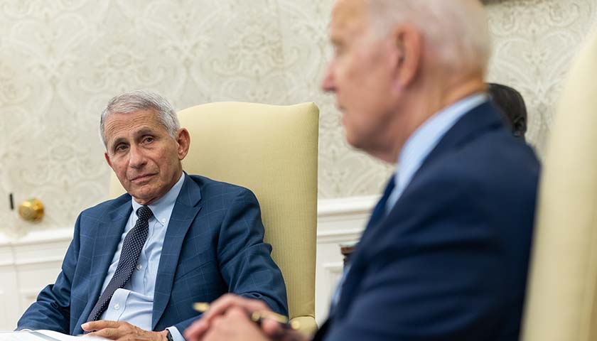 The Fauci Files: Five Explosive Findings Declassified by Tulsi Gabbard